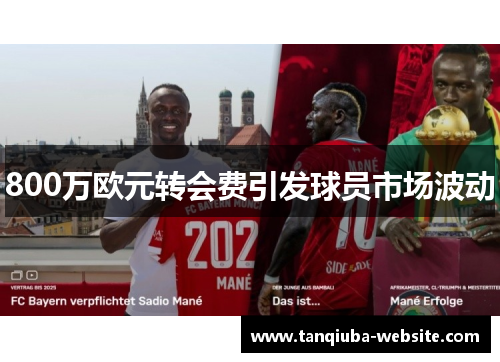 800万欧元转会费引发球员市场波动 800万欧元转会费引发球员市场波动