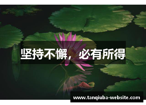 坚持不懈，必有所得