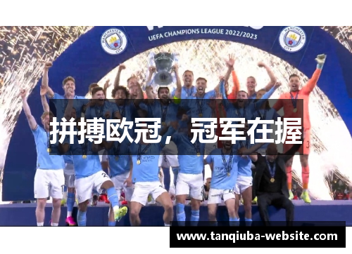 拼搏欧冠，冠军在握
